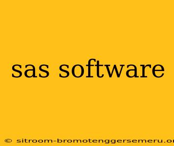 sas software